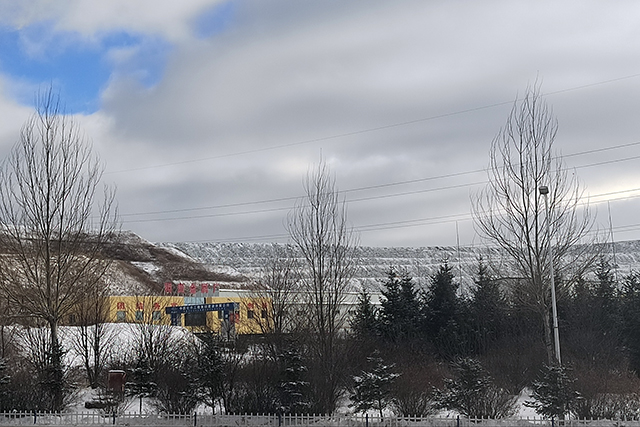 雪舞中的多铜2.jpg